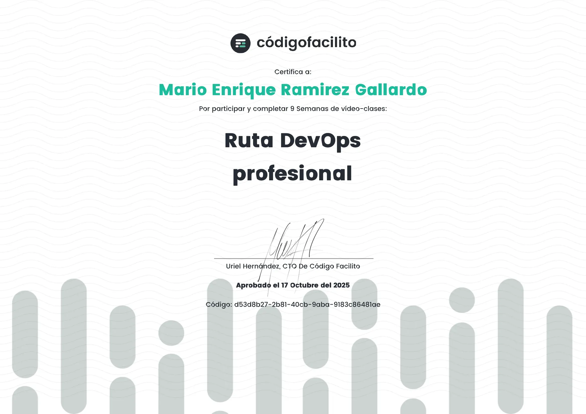 Ruta DevOps Profesional